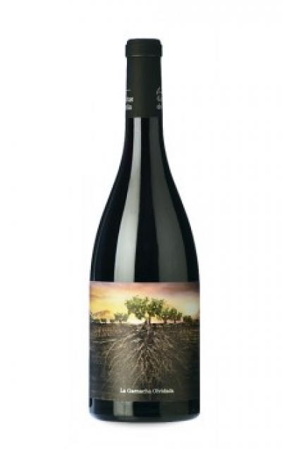 Garnacha olvidada de Aragon 2018 0,75L BIO 